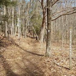 River Park - The trail is marked with white blazes