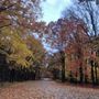 Photo of Mark Twain Memorial State Park