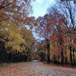 Mark Twain Memorial State Park - Puma Campground