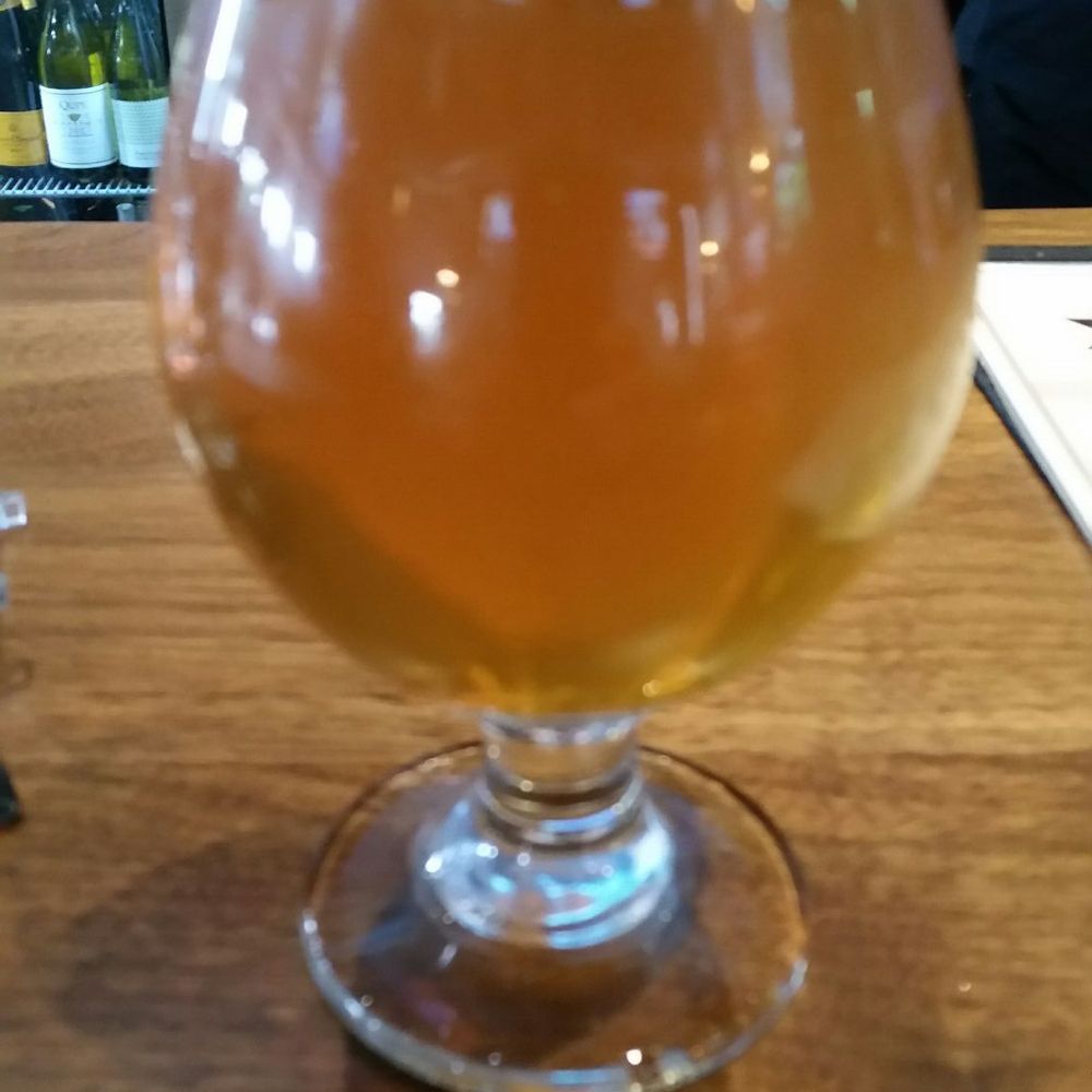 Too Ra Loo - Blow Your Face Out - 101 IBU - Pizza Near Me - Rochester, Michigan Too Ra Loo - Blow Your Face Out - 101 IBU - Pizza Near Me - Rochester, Michigan