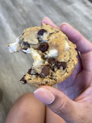 Coco & Jules Cookies by null