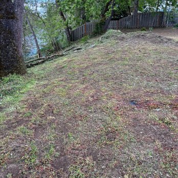 SKB Yard Care - After
~ Weed clean up - Gardeners Near Me SKB Yard Care - After
~ Weed clean up - Gardeners Near Me