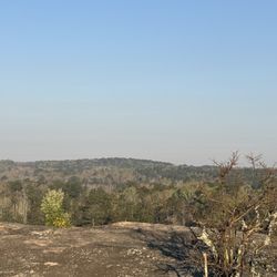 Davidson-Arabia Nature Preserve - It was so peaceful