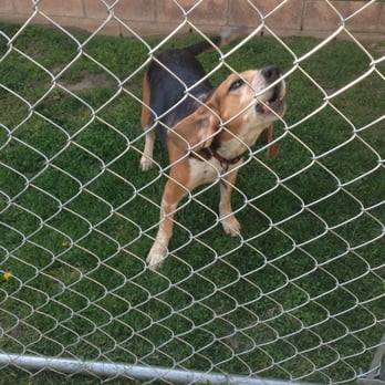 Fence Craft of Upland - Charlie is in the jail cell demanding to see his lawyer - Fences & Gates Near Me - Upland, California