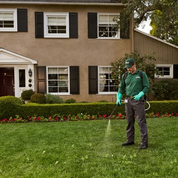 TruGreen Lawn Care - Tree Services Near Me - Lafayette, Indiana TruGreen Lawn Care - Tree Services Near Me - Lafayette, Indiana