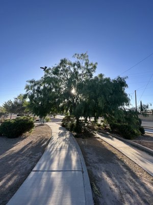 Vocational Pond Park