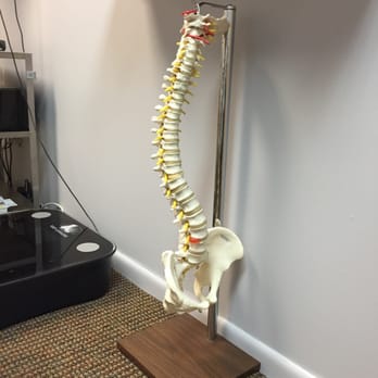 Fisher Chiropractic Center - Subluxation of the spine model - Chiropractors Near Me - Miami, Florida Fisher Chiropractic Center - Subluxation of the spine model - Chiropractors Near Me - Miami, Florida