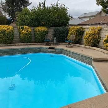 Kathy’s Landscaping - Bushes and a Java tree. - Landscaping Near Me - Newhall, California Kathy’s Landscaping - Bushes and a Java tree. - Landscaping Near Me - Newhall, California