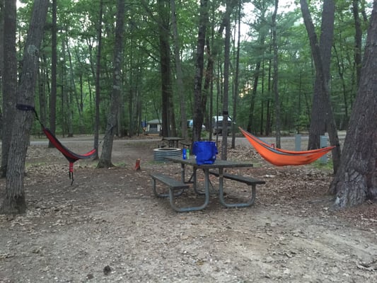Interlochen State Park by null