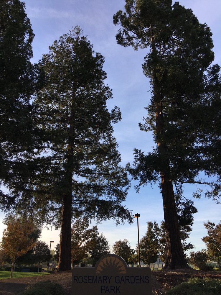 ROSEMARY GARDENS PARK Updated August 2024 31 Photos Sonora Ave
