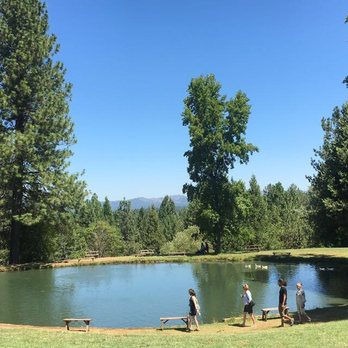 High Hill Ranch - Donuts Near Me - Placerville, California