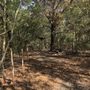 Photo of Seabourne Creek Nature Park
