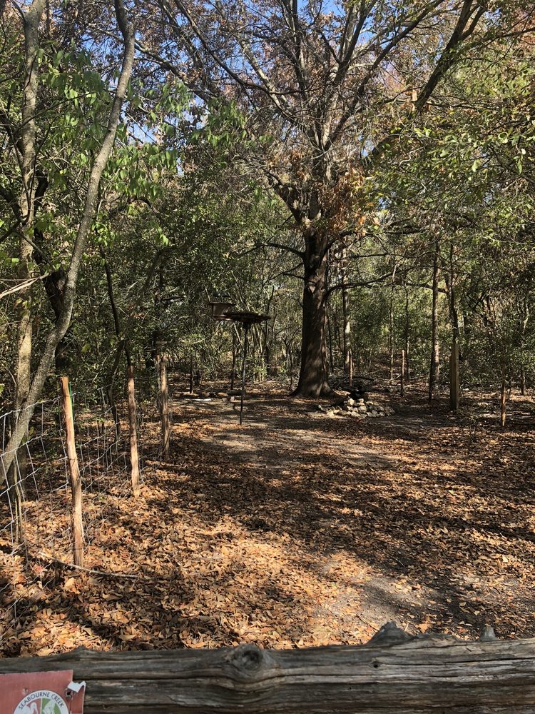 Seabourne Creek Nature Park Image
