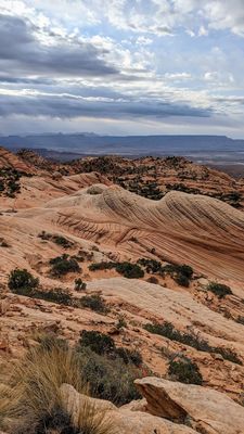 Dixie National Forest by null