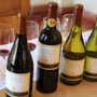 Photo of Concha y Toro