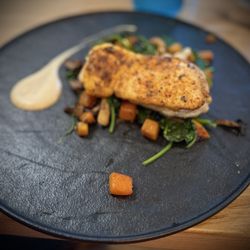 Oceano Midlothian - Halibut