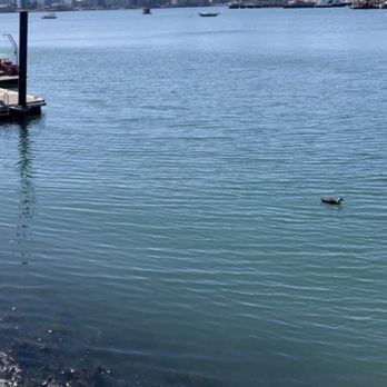 Boston Harbor Walk - Parks Near Me - Boston, Massachusetts Boston Harbor Walk - Parks Near Me - Boston, Massachusetts