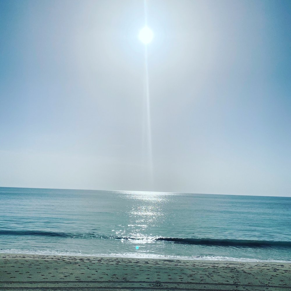 ALTERNATIVE MEDICINE FAMILY CARE CENTER Updated September 2024 2050