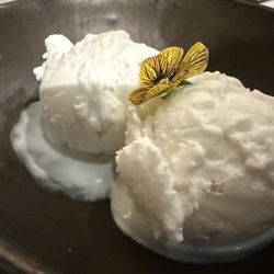 Tamarind - Coconut sorbet