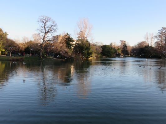 Parc Borély by null