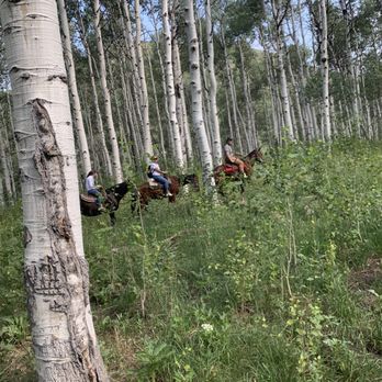 North Forty Escapes - Walt leading two of us through the woods. - Horseback Riding Near Me - Oakley, Utah