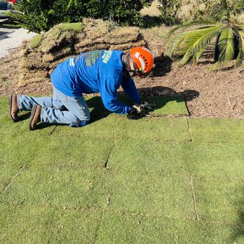 Flawless Tree Care - Tree Services Near Me