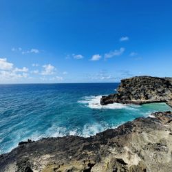 Hawaii Turtle Tours