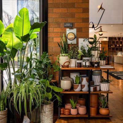 Mr West Cafe Bar Downtown by null