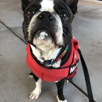 Dutch Bros Coffee - Coffee & Tea Near Me - Phoenix, Arizona Dutch Bros Coffee - Coffee & Tea Near Me - Phoenix, Arizona
