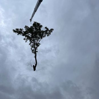 Clean Cuts Trees - Tree Services Near Me - Kaysville, Utah Clean Cuts Trees - Tree Services Near Me - Kaysville, Utah