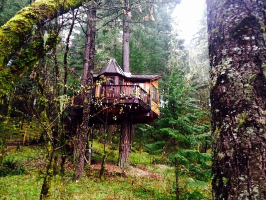 Vertical Horizons Treehouse Paradise by null