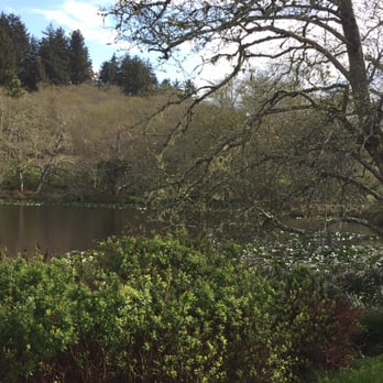 Cape Disappointment State Park - Lake by the cabins - Parks Near Me - Ilwaco, Washington Cape Disappointment State Park - Lake by the cabins - Parks Near Me - Ilwaco, Washington