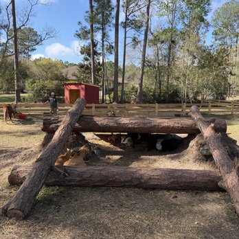 The Fluffy Cow Cafe - Petting Zoos Near Me - St. Augustine, Florida