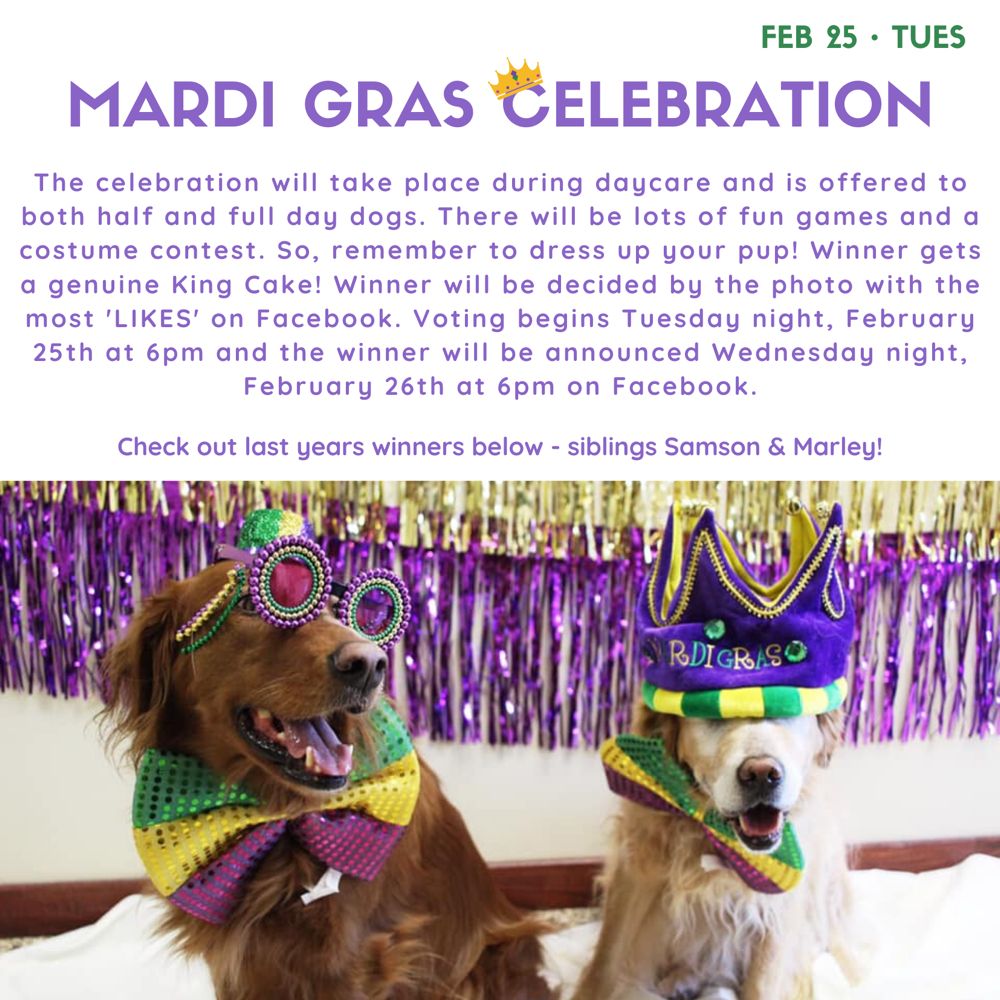 DOGWOOD PET HOTEL AND DAY SPA 30 Photos & 11 Reviews 1200