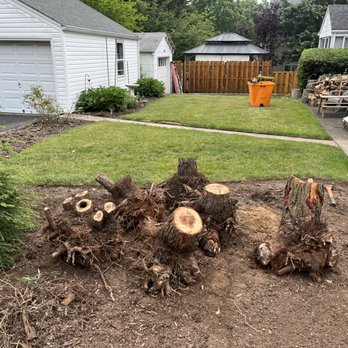 Goodman Landscape Contractors - Landscaping Near Me