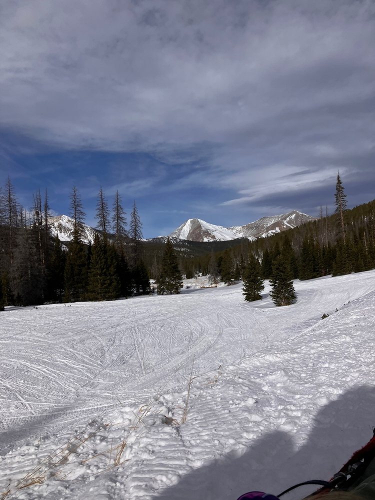 MONARCH DOG SLED RIDES Updated September 2024 16 Photos & 11