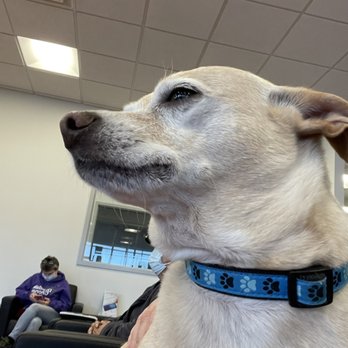 Bel Air Subaru - Charlie and I waiting patiently. - Car Dealers Near Me - Bel Air, Maryland Bel Air Subaru - Charlie and I waiting patiently. - Car Dealers Near Me - Bel Air, Maryland