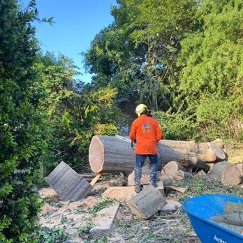 E & D Tree Services - Tree Services Near Me - Philadelphia, Pennsylvania