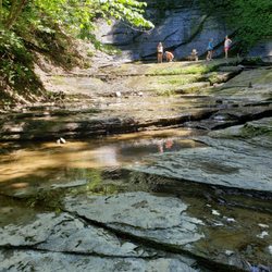 Sweedler Preserve