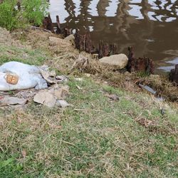 D'Iberville Public Marina - This was just a small example of the trash around in this area.