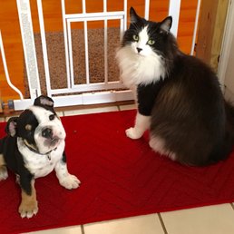 Dr. Burbba takes excellent care of both my pets. Hes treated my horse too! Dr. Burbba takes excellent care of both my pets. Hes treated my horse too!