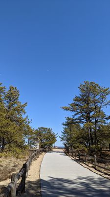 Ferry Beach State Park by null