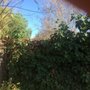 Photo of Alpha Landscaping & Maintenance