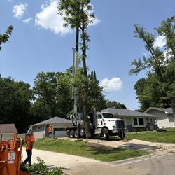 A To Z Tree Care