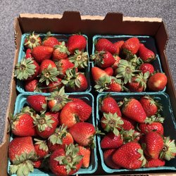 The Farm Store - Fresh strawberries