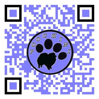 Poochini Pet Grooming - Pet Groomers Near Me - Albuquerque, New Mexico Poochini Pet Grooming - Pet Groomers Near Me - Albuquerque, New Mexico