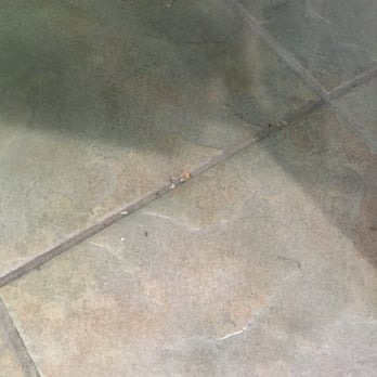 Pro Nail Spa - Floors were dirty. Ants crawling everywhere. Yikes!! - Nail Salons Near Me - Burbank, Illinois