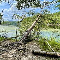 Bays Mountain Park & Planetarium