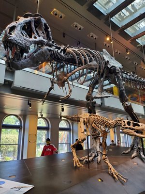 Natural History Museum Of Los Angeles County Nhm 900 Exposition Blvd Los Angeles Ca Crafts Mapquest