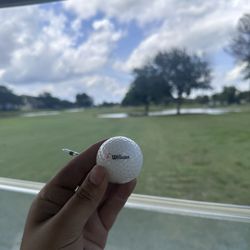 Flamingo Lakes Golf Course